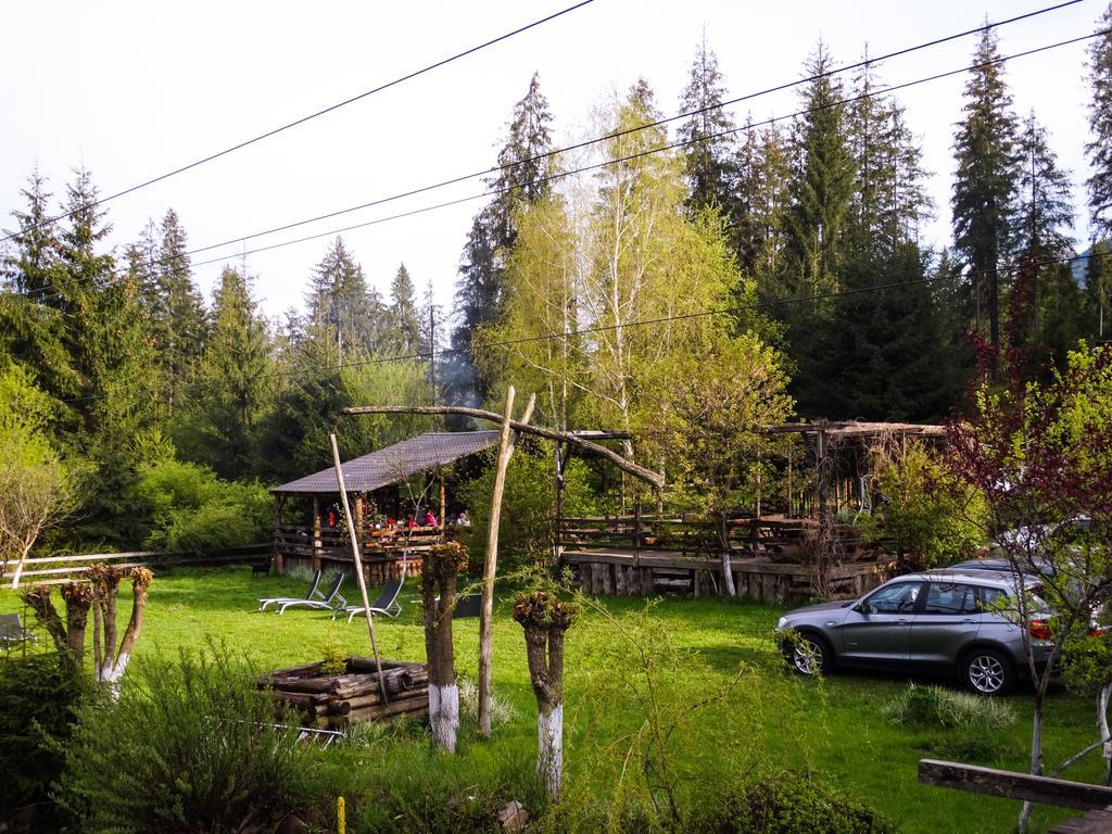 Pensiunea Casa Noastra Arieşeni Exterior foto