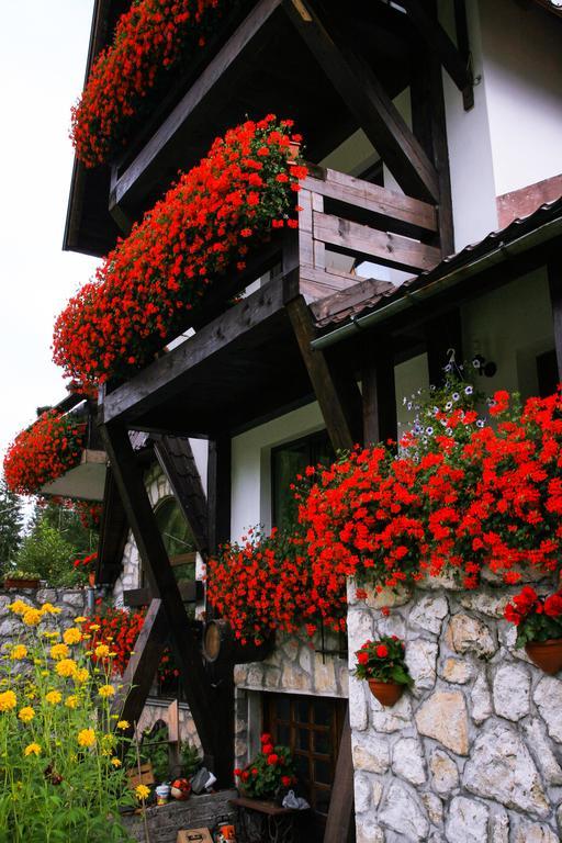 Pensiunea Casa Noastra Arieşeni Exterior foto
